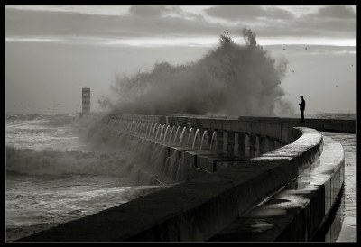 Storm Watcher