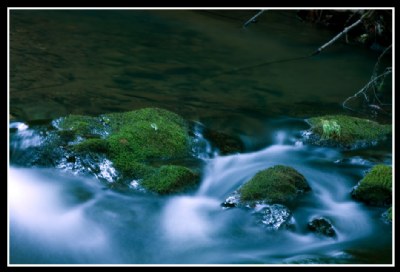 muir woods creek