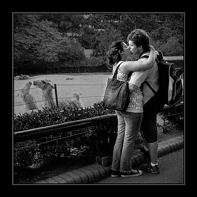 The kiss