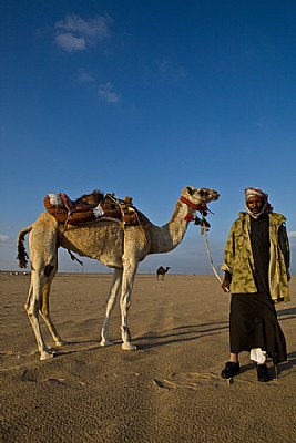 Kuwaiti desert