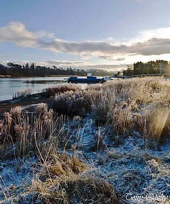 Frosty morning by the river