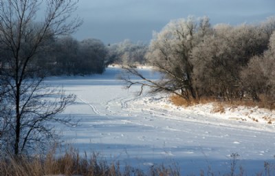 A Frosty Morning