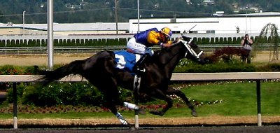 To the Races
