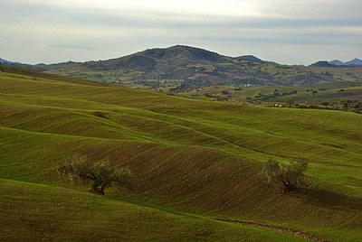  Green Waves