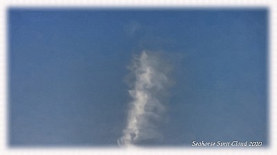 Seahorse Sprit Cloud