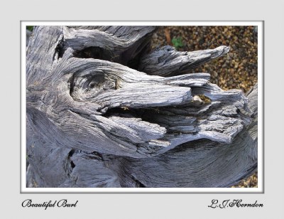Wood Burle