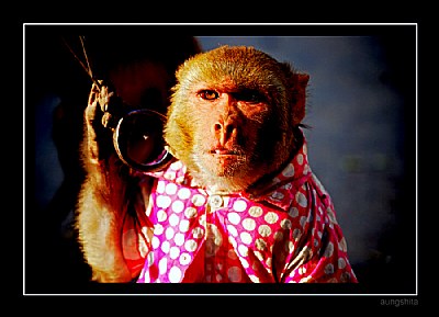 HEY......... ITS ME.....