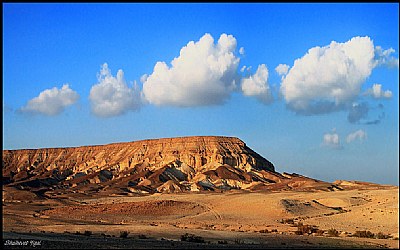 Negev, desert of Israel