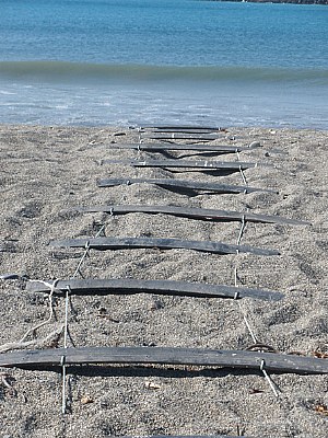 Caleta Totoral