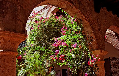 Archs & Flowers