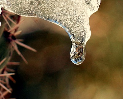 Melting snow