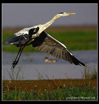 Take off