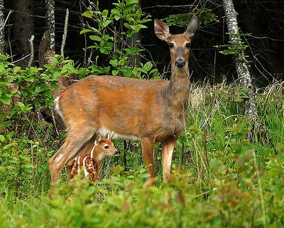 Me and Mom