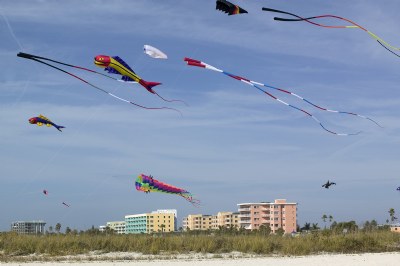 Kite Fest