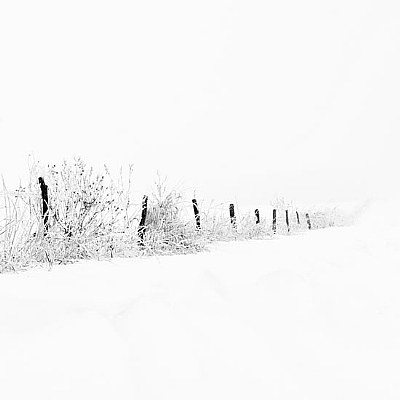 Frost, Fog, Fence!