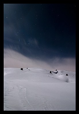 In moonlight #2