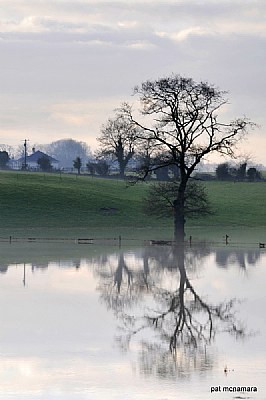 mirror image