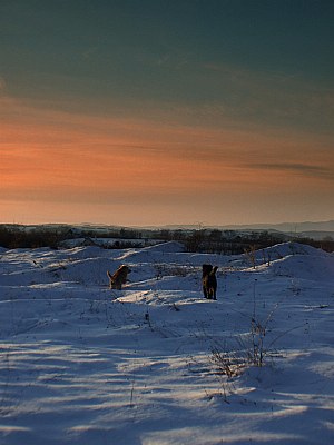 walk in the snow in the evening