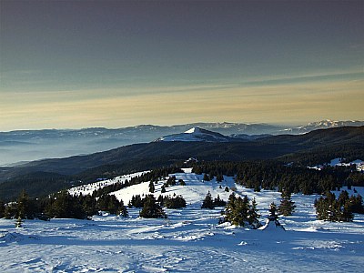 mountain Kopaonik