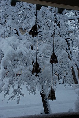 Winter 2010