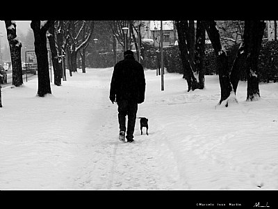 Man and dog