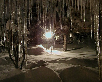 WINTER NIGHT