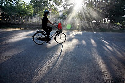 in the sunlight