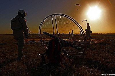 paraglider