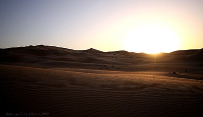 The Empty Quarter