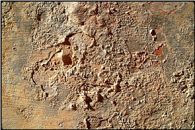 smallpox wall