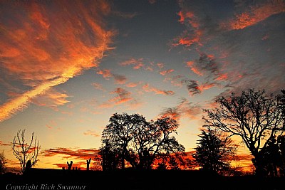 February Dawn