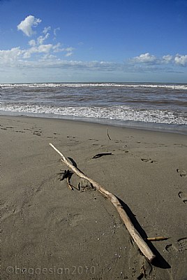 The colors of the winter sea