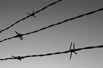 Barbed Wire