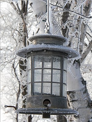 Frosty Bird House