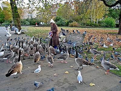 An old woman and birds