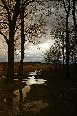 Twilight is reflected in the water