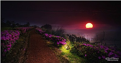 Early Morning in S. MIguel Island ...