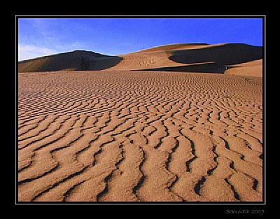 Sand Dunes - 4