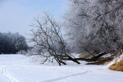 Assiniboine Frost