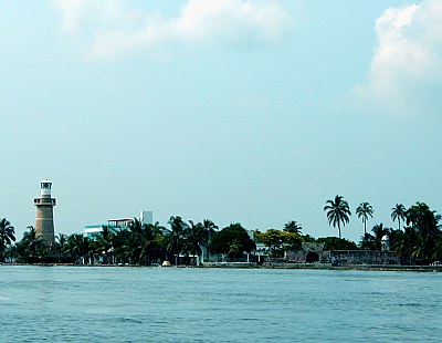 Lighthouse &  Trees