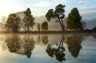 River Reflections