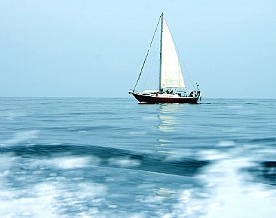 Sailboat