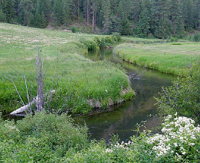 Salmon Creek