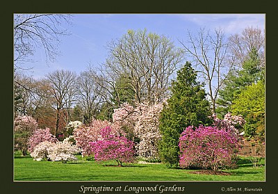 Longwood Gardens in Spring (d4354)