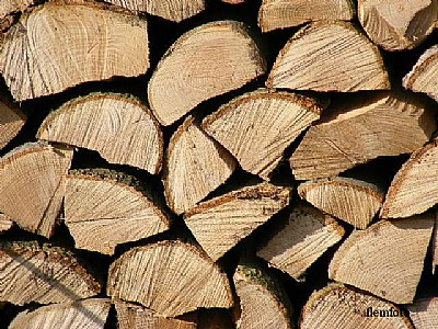 Art, in the wood.