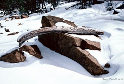 Rock Log Snow