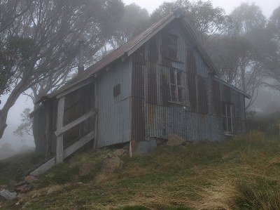 the Hut