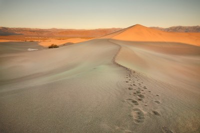mesquite sunrise