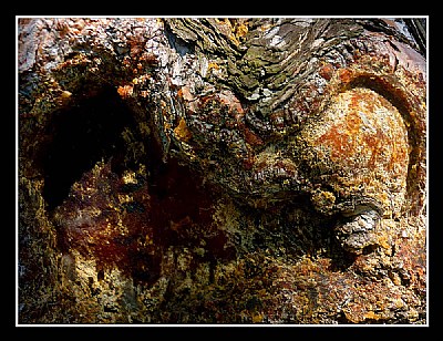 TREE ABSTRACT