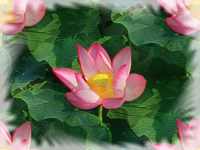Lotus mirages